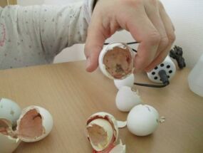 Eierschalen von geschlüpften Küken