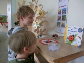 Kinder beobachten unsere Marienkäferlarven