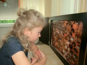 Ein Mädchen schaut sich das Kamishibai über die Biene an