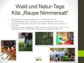 Waldtage "Raupe Nimmersatt"