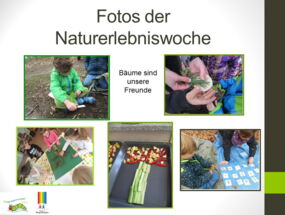 Fotos der Naturerlebniswoche