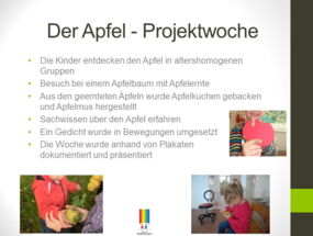 Projektwoche "der Apfel"