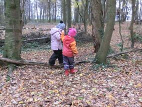 Ein Kind sammelt im Wald kleine Stöcke