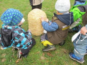 Kinder betrachten einen Bienenkorb