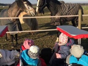 Kinder sitzen im Kinderwagen und beobachten Pferde auf der Koppel
