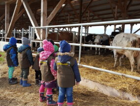 Kinder beobachten Kühe im Kuhstall