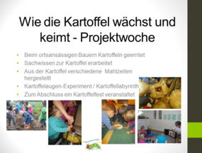 Projektwoche "Kartoffel"