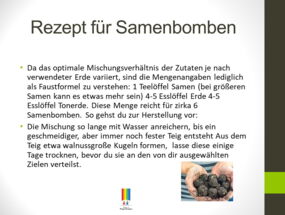 Rezept für Samenbomben