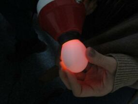 Schierlampe leuchtet in Ei