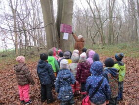 Kindergruppe vor Baum im Wald