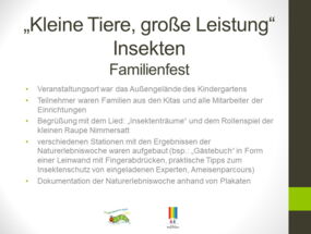 Familienfest zum Thema "Insekten"