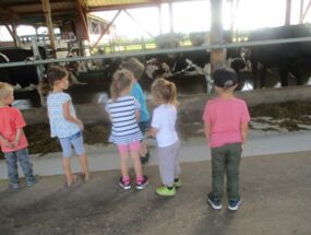 Kinder beobachten Kühe im Kuhstall