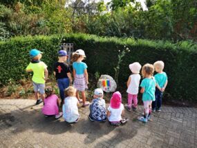 Kinder schauen sich unseren gestalteten Findling in der Wildblumenwiese an