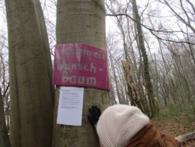 Schild "Ich bin ein Wunschbaum" am Baum