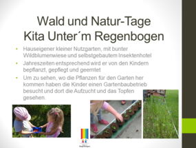 Waldtage der Kita "Unter'm Regenbogen"