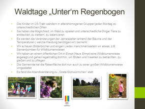 Waldtage "Unter'm Regenbogen"