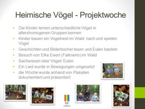 Projektwoche "heimische Vögel"